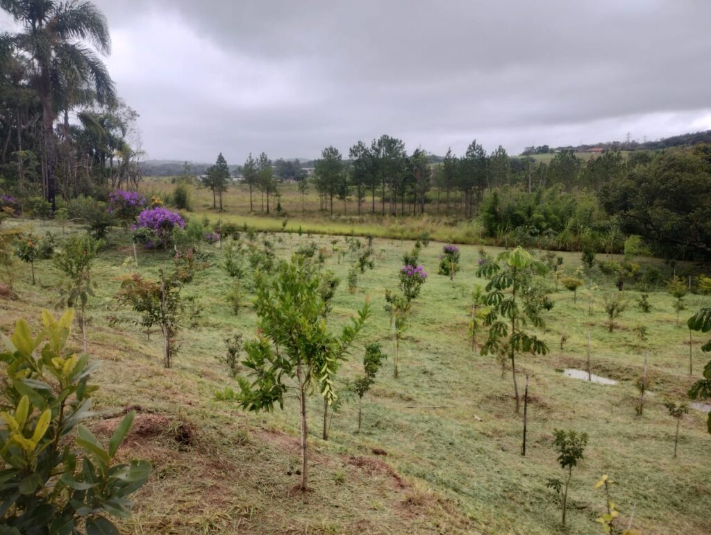 Projetos paisagísticos - Cedro Ambiental Araraquara