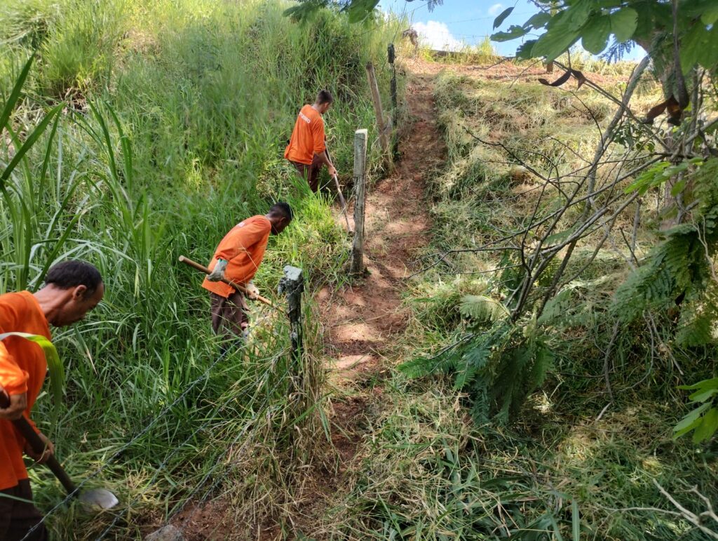 Desenvolvimento e Manutenção de Áreas Verdes